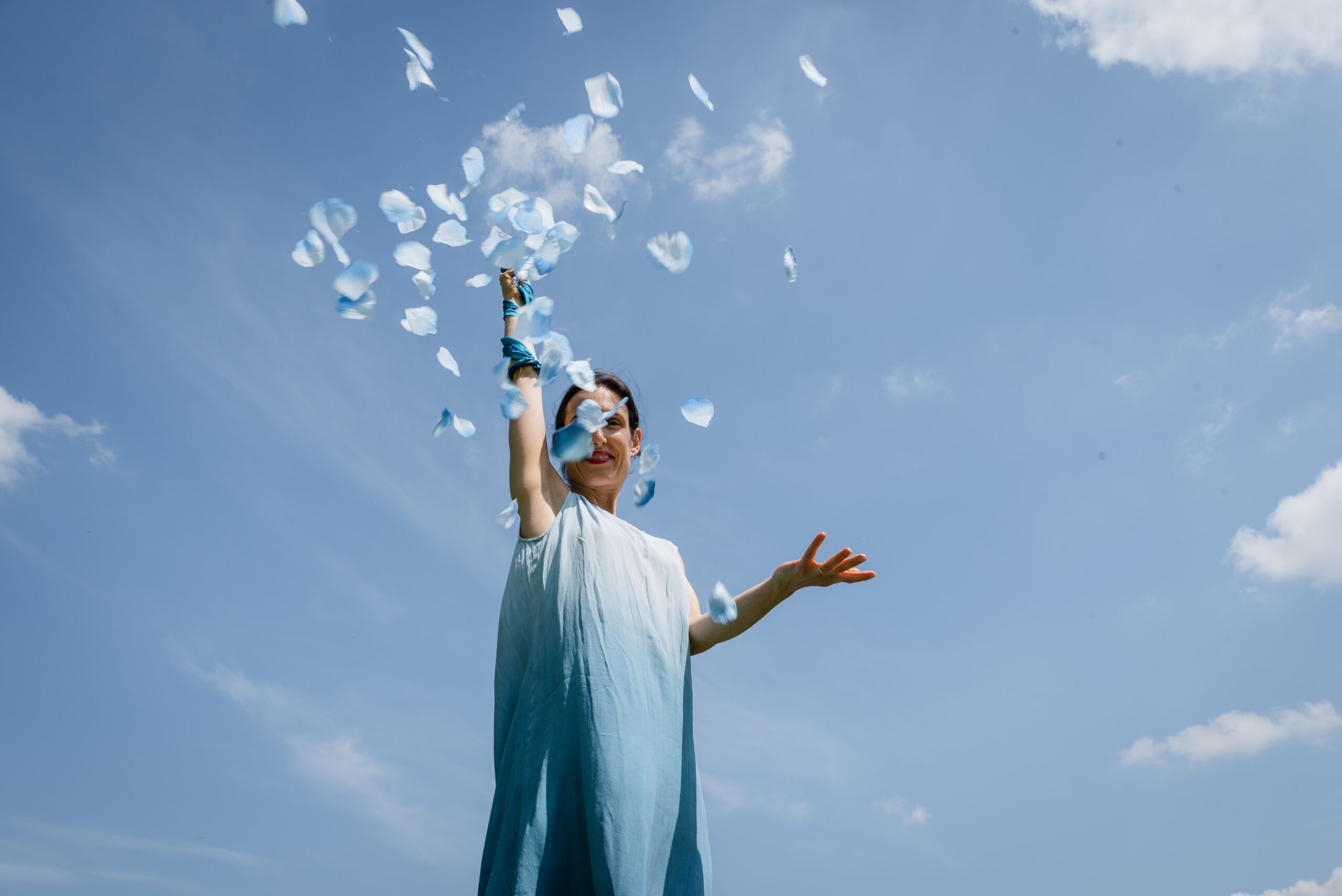 Elemento Aria nel business