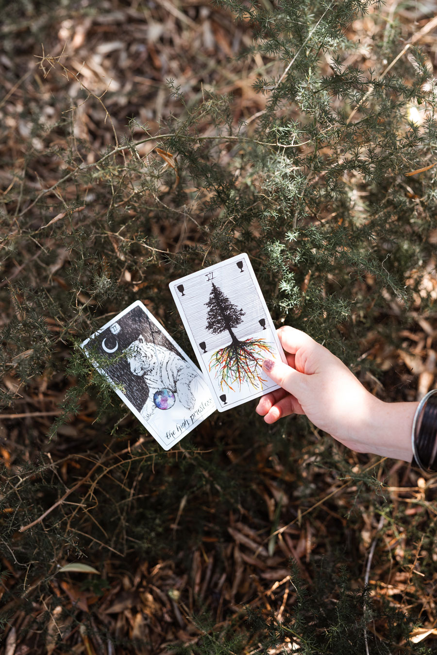 Chiara Sbicca Mulford, intuitive brand designer